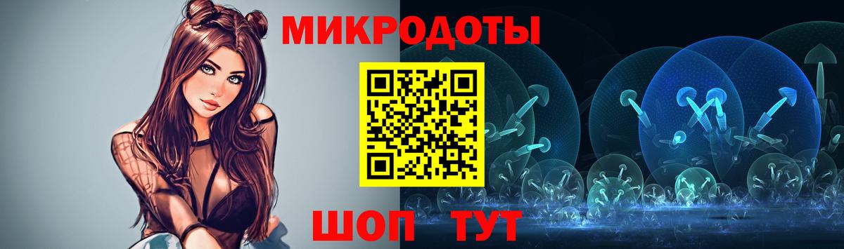 Псилоцибиновые грибы Psilocybe  Вход с VPN  Сызрань  Галлюциногенные грибы прущие грибы 